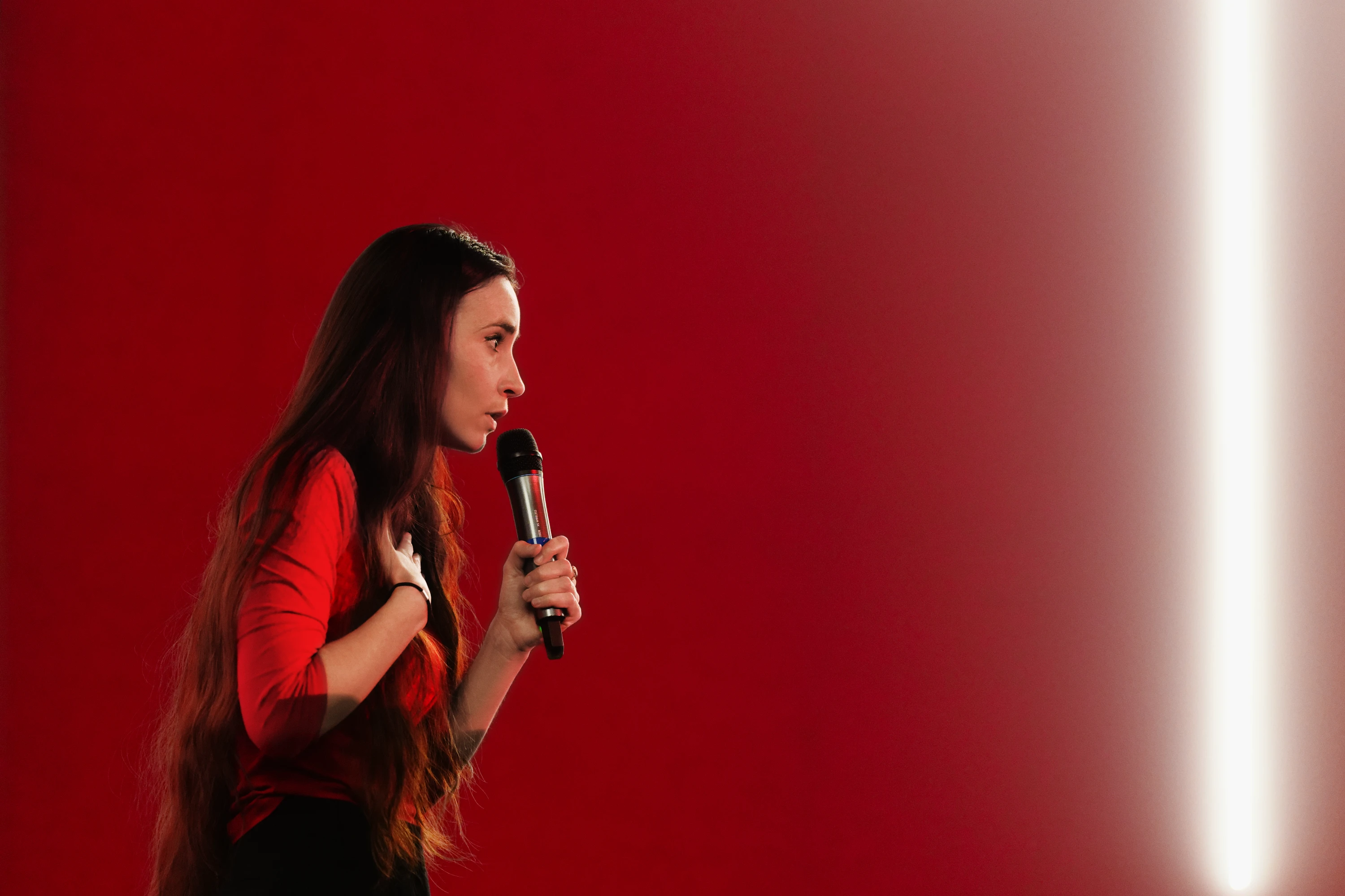 R&eacute;sister, galerie